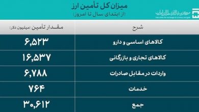 تامین بیش از ۳۰ میلیارد دلار ارز برای واردات