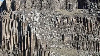 تهران اقتصادی