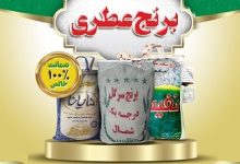قیمت برنج طارم هاشمی امروز؛ راهنمای خرید بهترین برنج عطری ایرانی از شمال