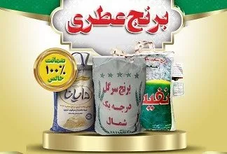 قیمت برنج طارم هاشمی امروز؛ راهنمای خرید بهترین برنج عطری ایرانی از شمال