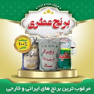 قیمت برنج طارم هاشمی امروز؛ راهنمای خرید بهترین برنج عطری ایرانی از شمال